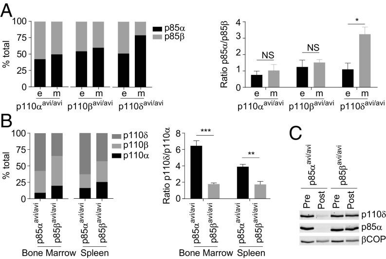 https://cdn.ncbi.nlm.nih.gov/pmc/blobs/4203/6275495/66d2f0c82b24/pnas.1803446115fig04.jpg