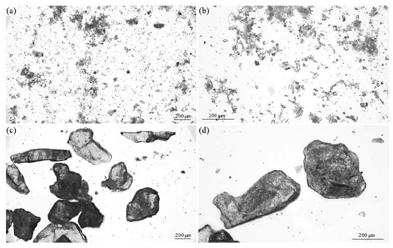 https://cdn.ncbi.nlm.nih.gov/pmc/blobs/4204/11433397/3835ec58e758/materials-17-04629-g003.jpg