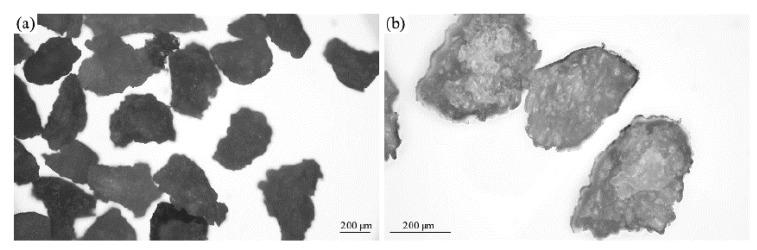 https://cdn.ncbi.nlm.nih.gov/pmc/blobs/4204/11433397/84335f5bfb7f/materials-17-04629-g002.jpg