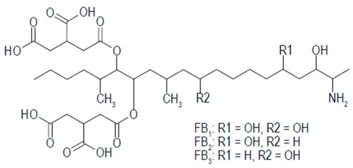 https://cdn.ncbi.nlm.nih.gov/pmc/blobs/4206/11719890/852e896ed98d/ijms-26-00184-g001.jpg