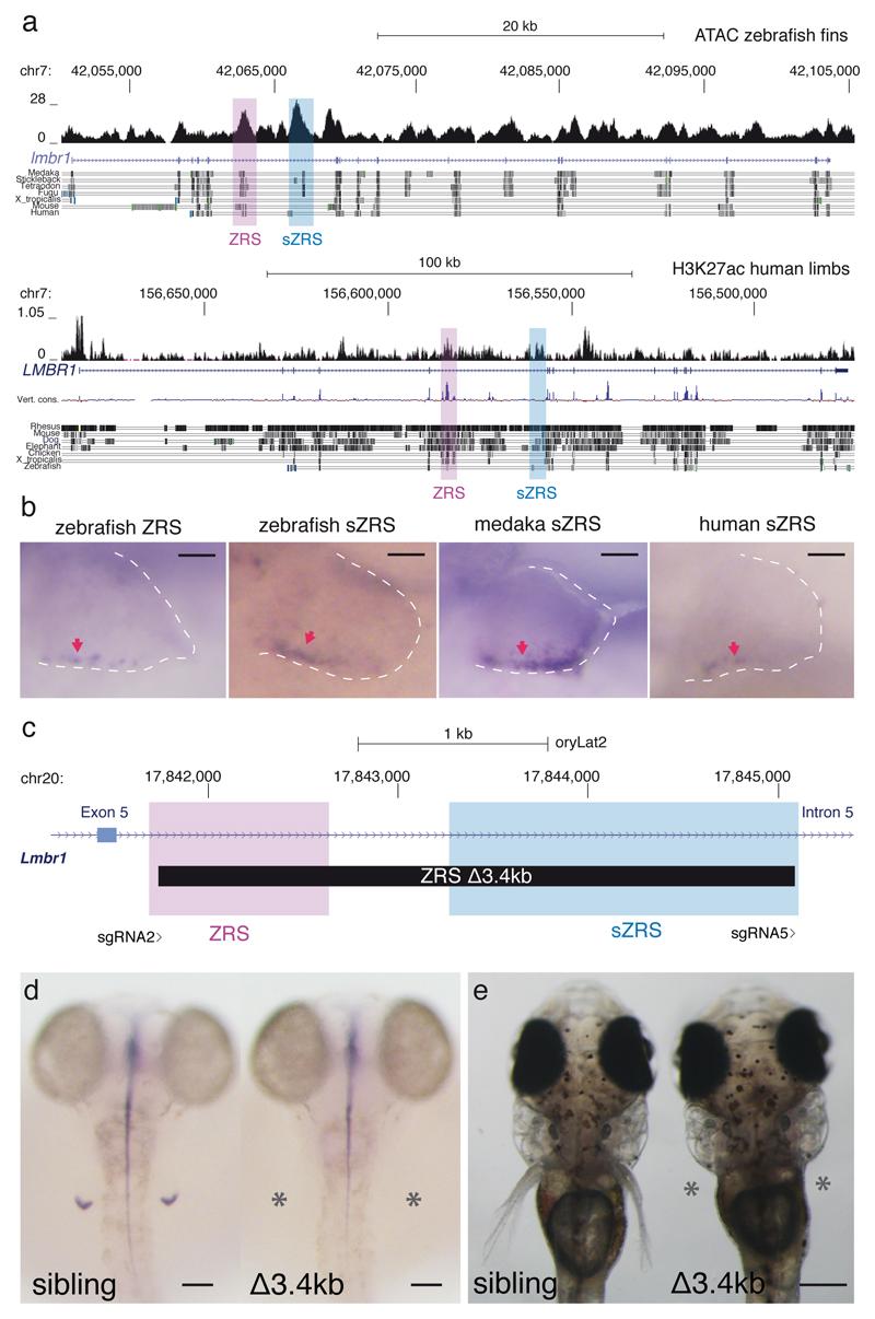 https://cdn.ncbi.nlm.nih.gov/pmc/blobs/4206/5896732/0b571769f703/emss-76095-f003.jpg