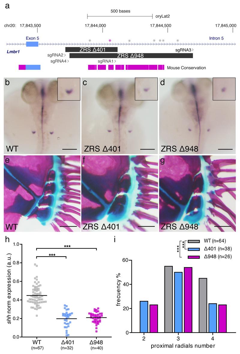 https://cdn.ncbi.nlm.nih.gov/pmc/blobs/4206/5896732/c4e9afe70aa4/emss-76095-f002.jpg
