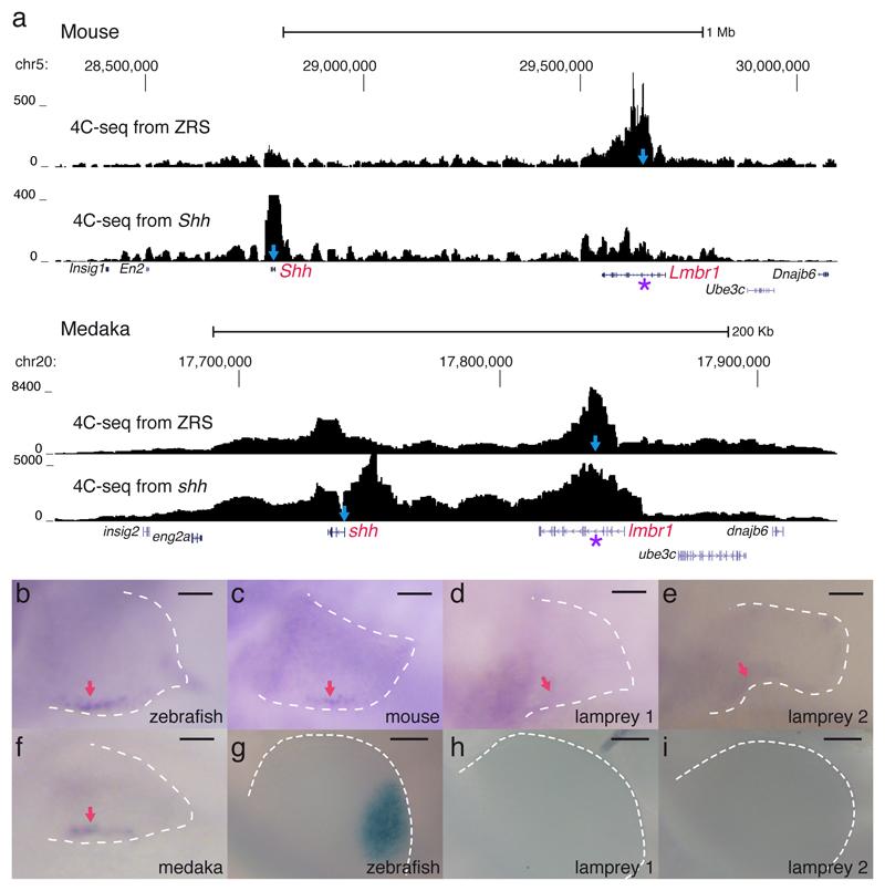 https://cdn.ncbi.nlm.nih.gov/pmc/blobs/4206/5896732/ffa54cff887c/emss-76095-f001.jpg