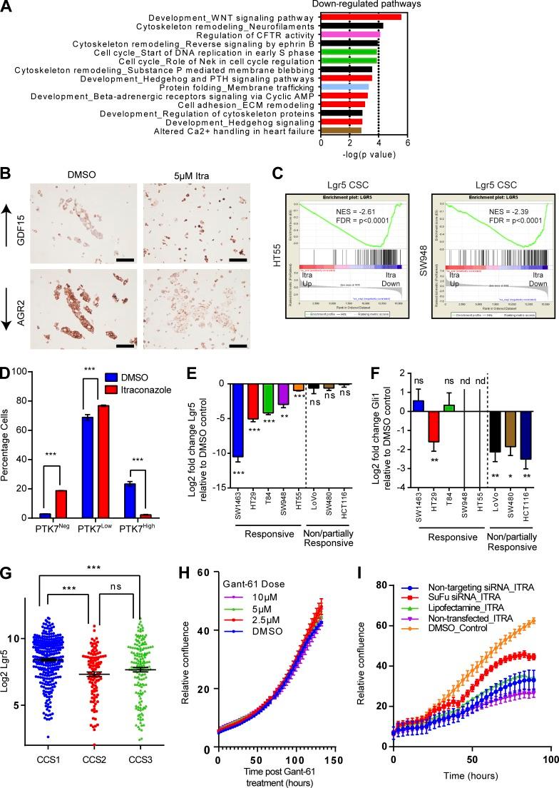 https://cdn.ncbi.nlm.nih.gov/pmc/blobs/4207/6028508/06a6b41fab9c/JEM_20171385_Fig7.jpg