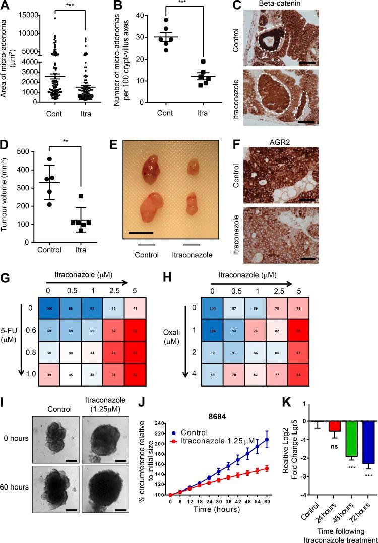 https://cdn.ncbi.nlm.nih.gov/pmc/blobs/4207/6028508/09b15da90111/JEM_20171385_Fig10.jpg
