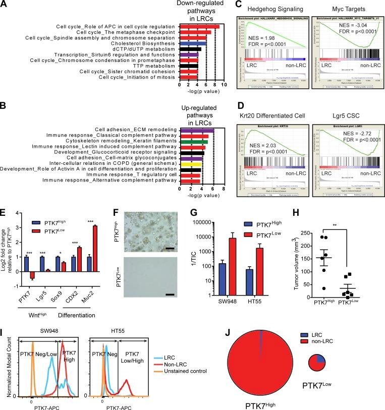 https://cdn.ncbi.nlm.nih.gov/pmc/blobs/4207/6028508/46ed914e921d/JEM_20171385_Fig2.jpg