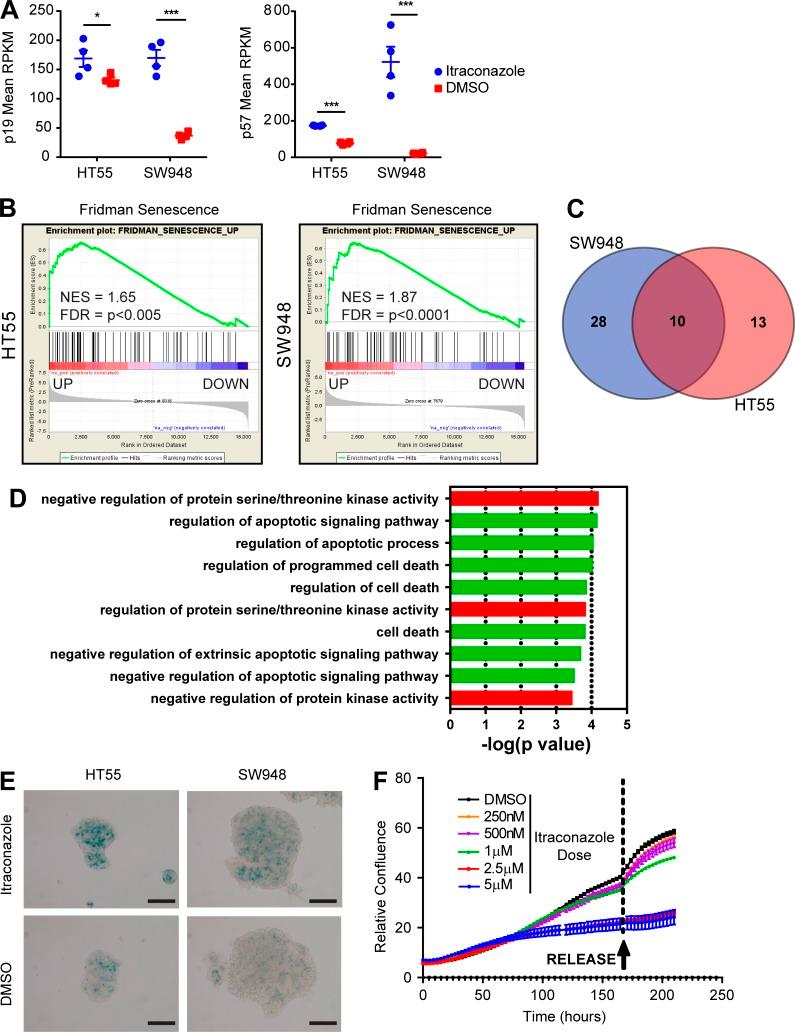 https://cdn.ncbi.nlm.nih.gov/pmc/blobs/4207/6028508/a2c989e63fbf/JEM_20171385_Fig8.jpg