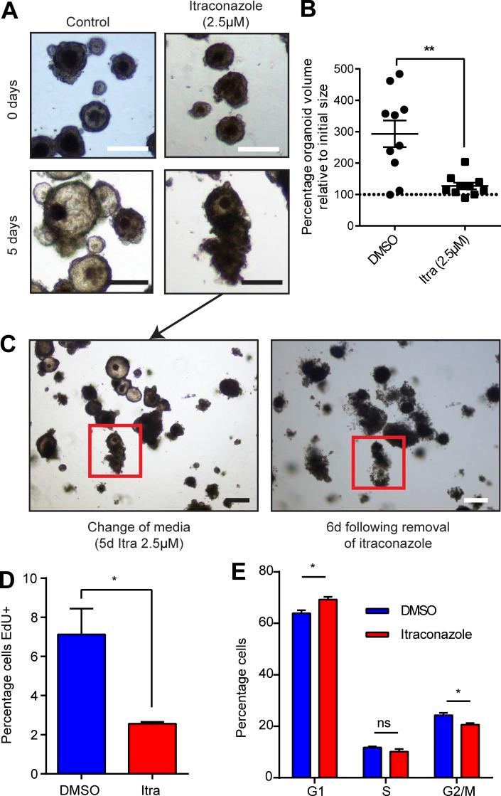https://cdn.ncbi.nlm.nih.gov/pmc/blobs/4207/6028508/bff91ad65d04/JEM_20171385_Fig9.jpg