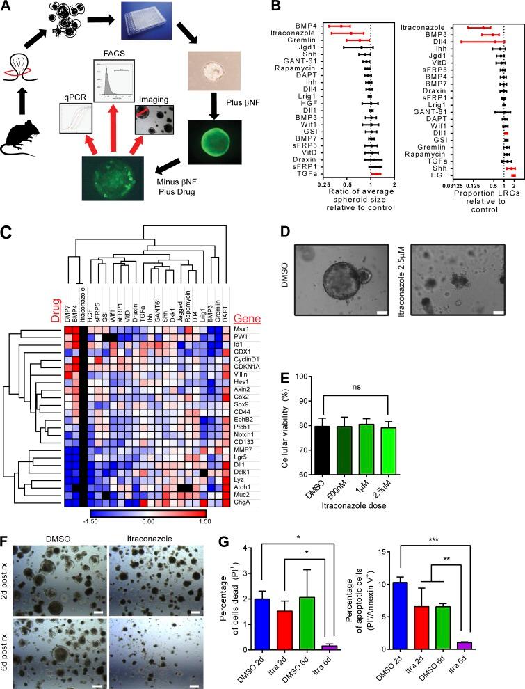 https://cdn.ncbi.nlm.nih.gov/pmc/blobs/4207/6028508/c4ab8a3c2b20/JEM_20171385_Fig5.jpg
