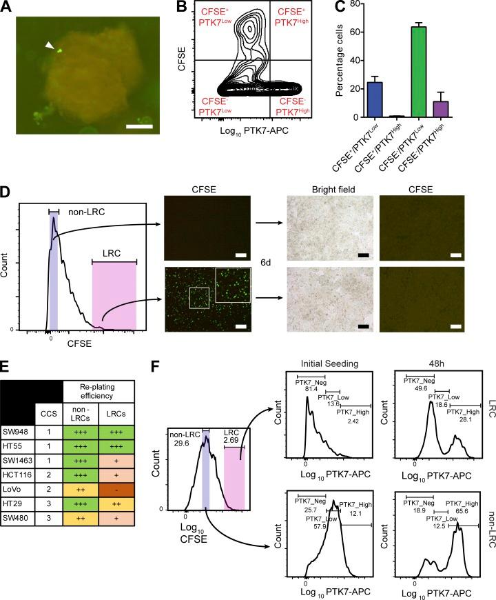 https://cdn.ncbi.nlm.nih.gov/pmc/blobs/4207/6028508/e83fc868058c/JEM_20171385_Fig3.jpg