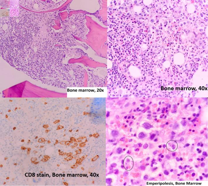 https://cdn.ncbi.nlm.nih.gov/pmc/blobs/4209/11027770/a4256f9f9d31/jh-13-029-g001.jpg