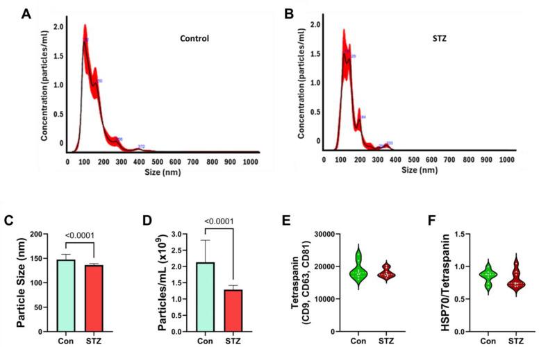 https://cdn.ncbi.nlm.nih.gov/pmc/blobs/420a/12071450/8b2e29529e82/ijms-26-04190-g008.jpg