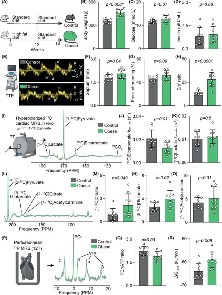 https://cdn.ncbi.nlm.nih.gov/pmc/blobs/420b/11571269/32d4d8aefb7b/NBM-37-e5206-g005.jpg