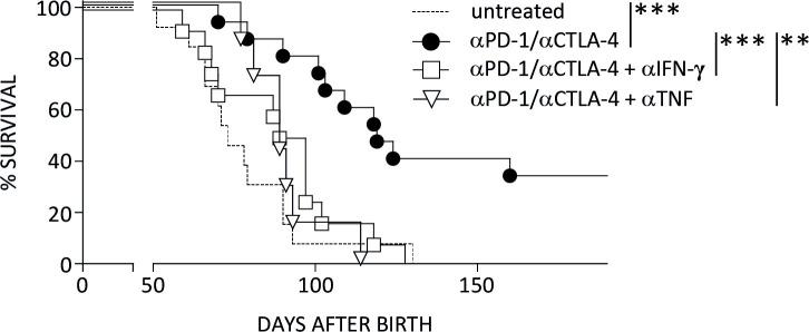 https://cdn.ncbi.nlm.nih.gov/pmc/blobs/420c/7812096/f80ab2d5b29a/jitc-2020-001660f01.jpg