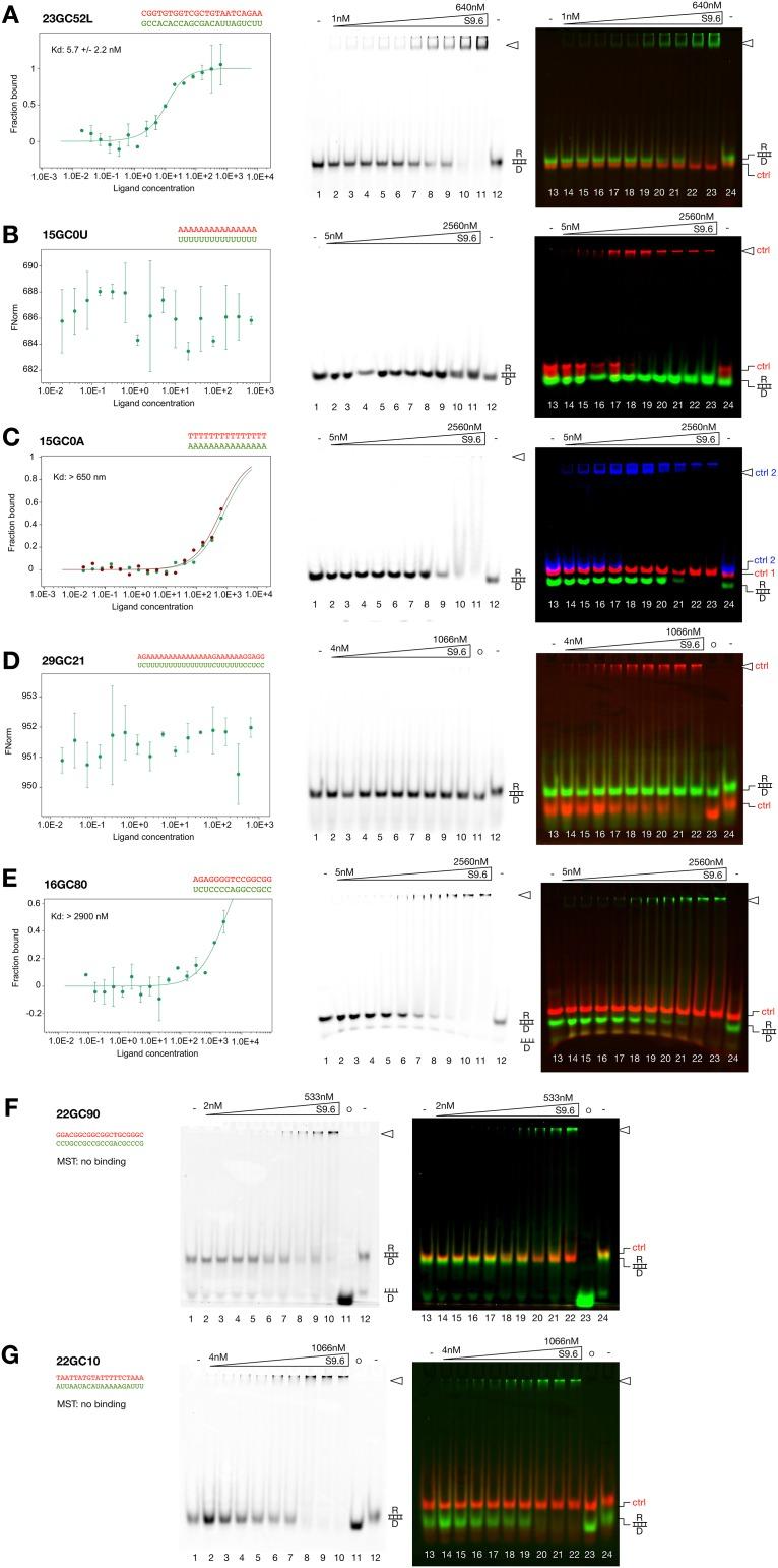 https://cdn.ncbi.nlm.nih.gov/pmc/blobs/420d/5464589/ec2f4e457aff/pone.0178875.g003.jpg