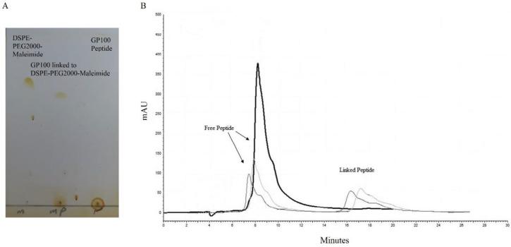 https://cdn.ncbi.nlm.nih.gov/pmc/blobs/420e/7478250/6f2727d1b7b8/IJBMS-23-1065-g001.jpg