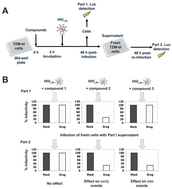 https://cdn.ncbi.nlm.nih.gov/pmc/blobs/420f/3852058/1e1ebd3029c1/1475-2859-12-85-1.jpg