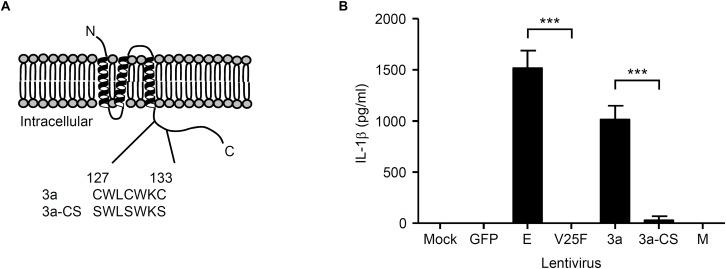 https://cdn.ncbi.nlm.nih.gov/pmc/blobs/420f/6361828/d3bc44a29225/fmicb-10-00050-g002.jpg