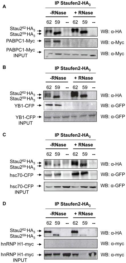 https://cdn.ncbi.nlm.nih.gov/pmc/blobs/4214/2893162/39fe9bb77d1e/pone.0011350.g002.jpg