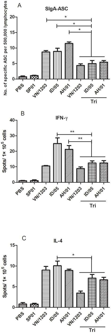 https://cdn.ncbi.nlm.nih.gov/pmc/blobs/4214/3261182/f9ed5d117ce4/pone.0030252.g003.jpg