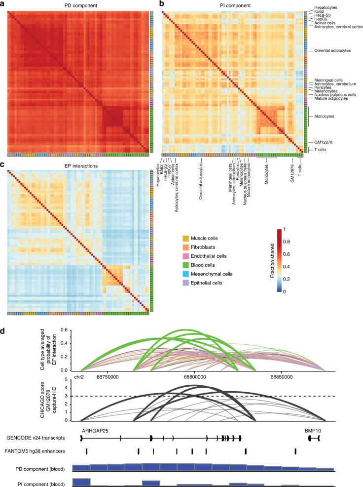 https://cdn.ncbi.nlm.nih.gov/pmc/blobs/4214/5799294/96b221344be2/41467_2017_2798_Fig6_HTML.jpg