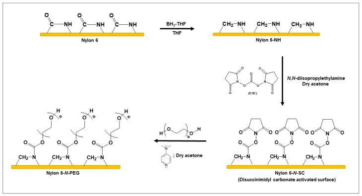 https://cdn.ncbi.nlm.nih.gov/pmc/blobs/4214/7598665/af30aa669924/polymers-12-02181-sch001.jpg