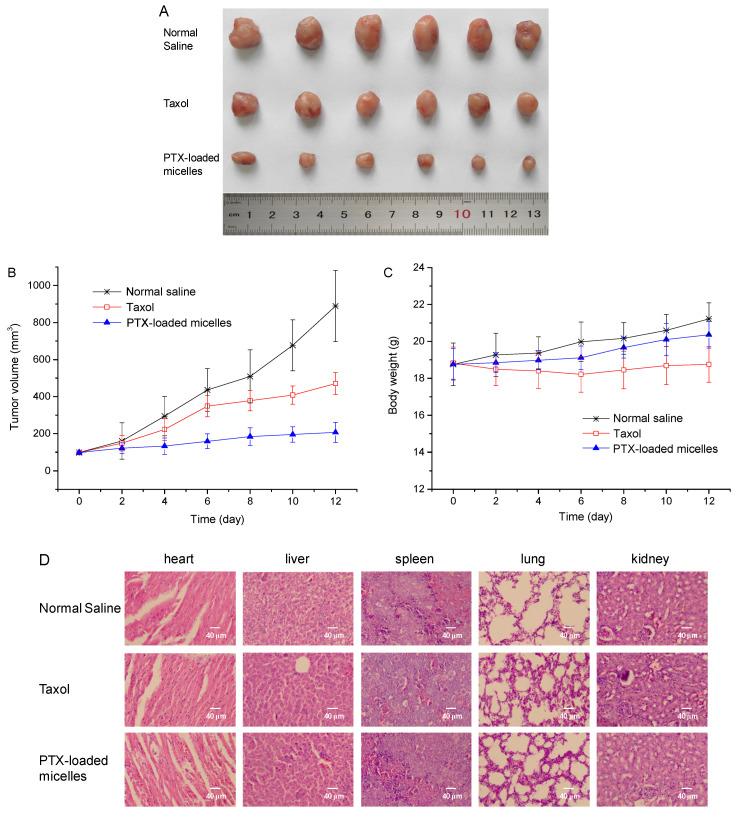 https://cdn.ncbi.nlm.nih.gov/pmc/blobs/4215/9505945/79d872c5f621/ijms-23-10801-g005.jpg