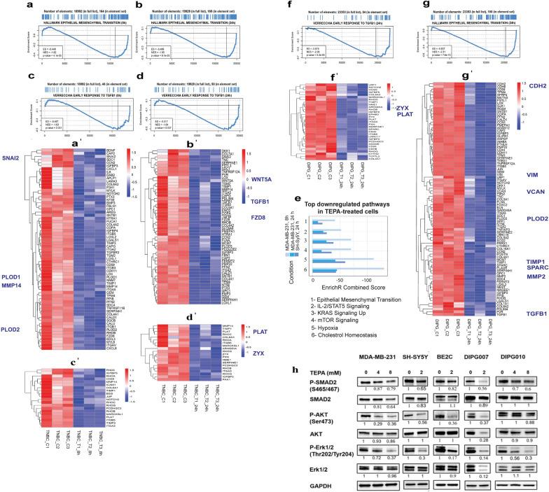 https://cdn.ncbi.nlm.nih.gov/pmc/blobs/4219/10362738/3ad45037640a/13578_2023_1083_Fig2_HTML.jpg