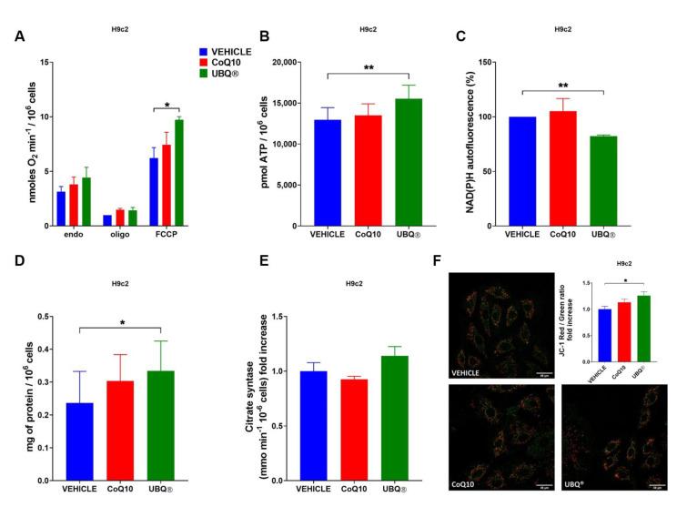 https://cdn.ncbi.nlm.nih.gov/pmc/blobs/4219/8226950/543688d46a70/antioxidants-10-00927-g003.jpg