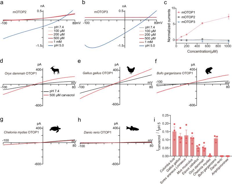 https://cdn.ncbi.nlm.nih.gov/pmc/blobs/421a/11384762/3f7d641ccd40/42003_2024_6818_Fig3_HTML.jpg