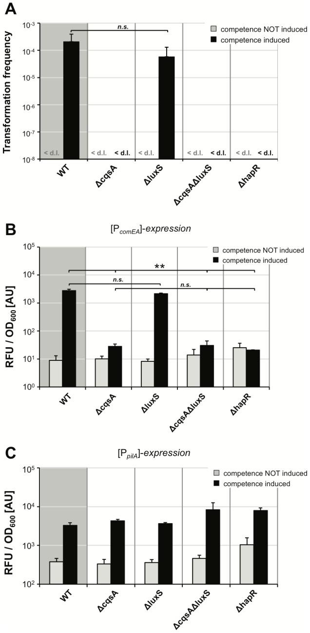 https://cdn.ncbi.nlm.nih.gov/pmc/blobs/421b/3380833/4aa2b74fffe2/pgen.1002778.g004.jpg