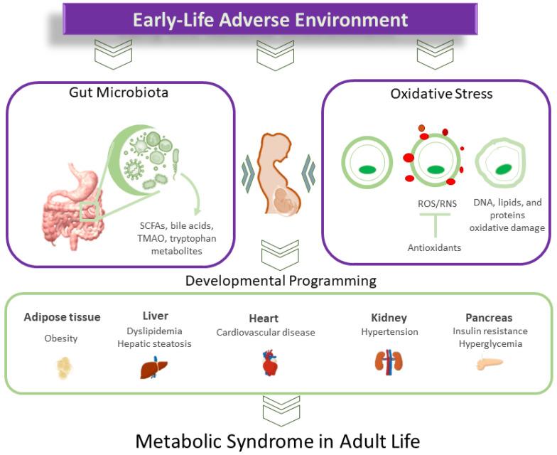 https://cdn.ncbi.nlm.nih.gov/pmc/blobs/421c/10935367/049851ce2b03/nutrients-16-00683-g001.jpg