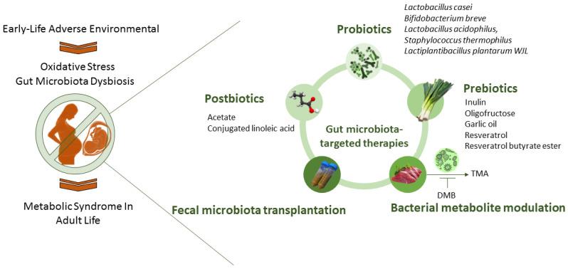https://cdn.ncbi.nlm.nih.gov/pmc/blobs/421c/10935367/a993157b3038/nutrients-16-00683-g002.jpg