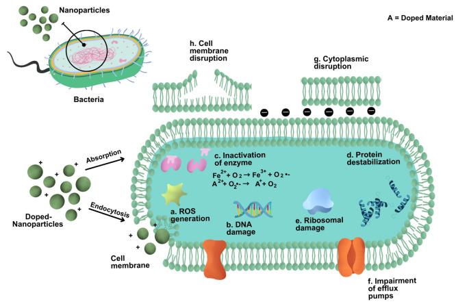 https://cdn.ncbi.nlm.nih.gov/pmc/blobs/421e/10785672/03d80d3ec8c3/ao3c06323_0004.jpg
