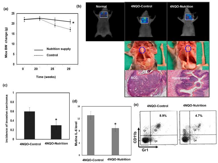 https://cdn.ncbi.nlm.nih.gov/pmc/blobs/4224/8466664/cd68155c8927/nutrients-13-02997-g003.jpg