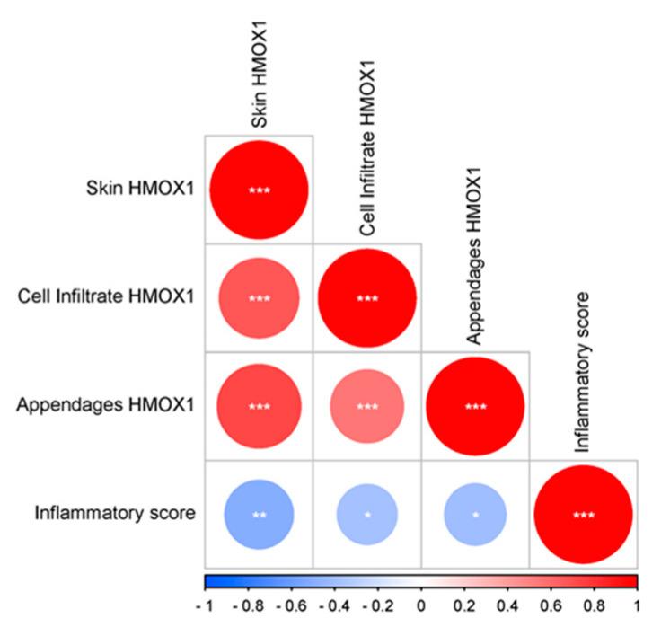 https://cdn.ncbi.nlm.nih.gov/pmc/blobs/4225/10376595/022e6af05f4e/antioxidants-12-01352-g002.jpg