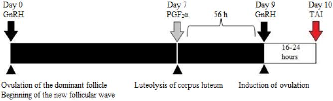 https://cdn.ncbi.nlm.nih.gov/pmc/blobs/4226/5894419/4b161e6456aa/jvetres-61-329-g001.jpg
