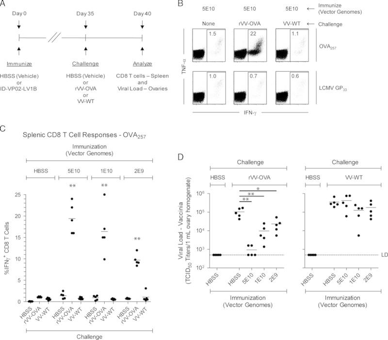 https://cdn.ncbi.nlm.nih.gov/pmc/blobs/4227/4323576/2d42019dcd13/cji-38-41-g005.jpg