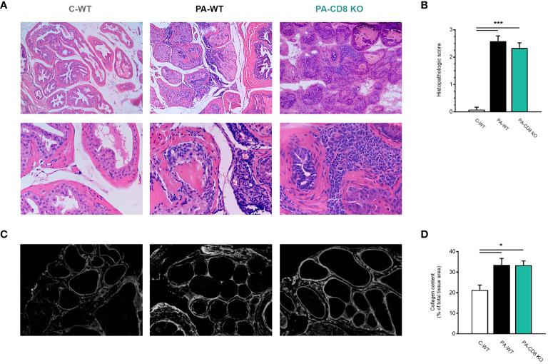 https://cdn.ncbi.nlm.nih.gov/pmc/blobs/4228/11130463/4af35e704bd1/fimmu-15-1387142-g002.jpg