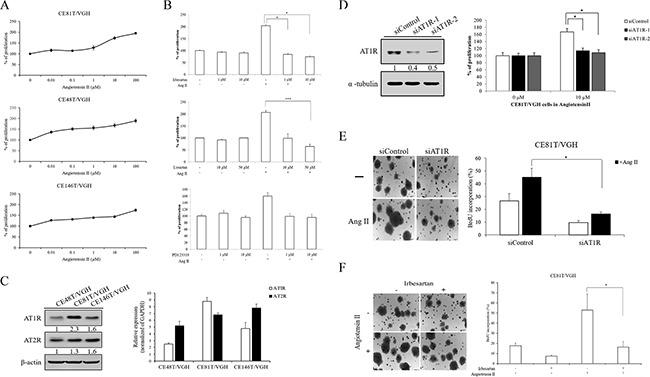 https://cdn.ncbi.nlm.nih.gov/pmc/blobs/4228/5341864/f6459970e443/oncotarget-07-67150-g003.jpg