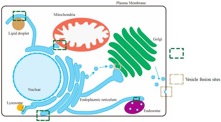 https://cdn.ncbi.nlm.nih.gov/pmc/blobs/4229/12113096/3c4c02a1fcc7/membranes-15-00154-g001.jpg