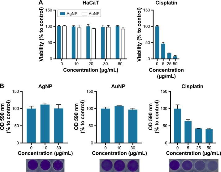 https://cdn.ncbi.nlm.nih.gov/pmc/blobs/4229/5798539/0654ca238faa/ijn-13-695Fig2.jpg