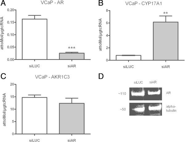 https://cdn.ncbi.nlm.nih.gov/pmc/blobs/422a/4193971/bd48a6d4734a/40064_2014_1279_Fig4_HTML.jpg