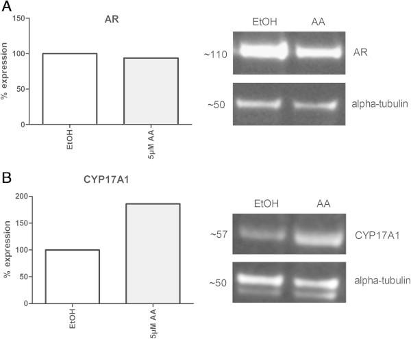 https://cdn.ncbi.nlm.nih.gov/pmc/blobs/422a/4193971/d66945903343/40064_2014_1279_Fig5_HTML.jpg