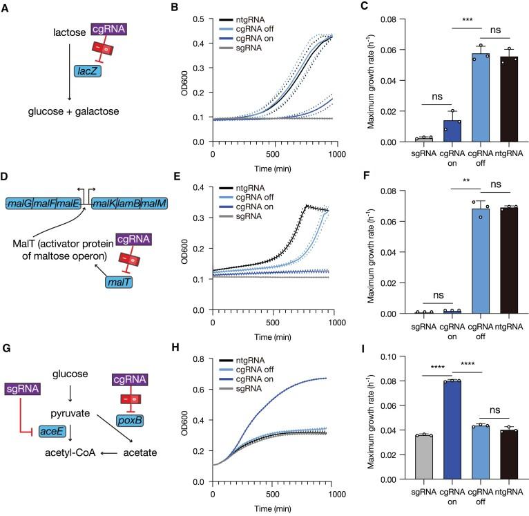 https://cdn.ncbi.nlm.nih.gov/pmc/blobs/422b/11317168/2b147118da5e/gkae549fig4.jpg