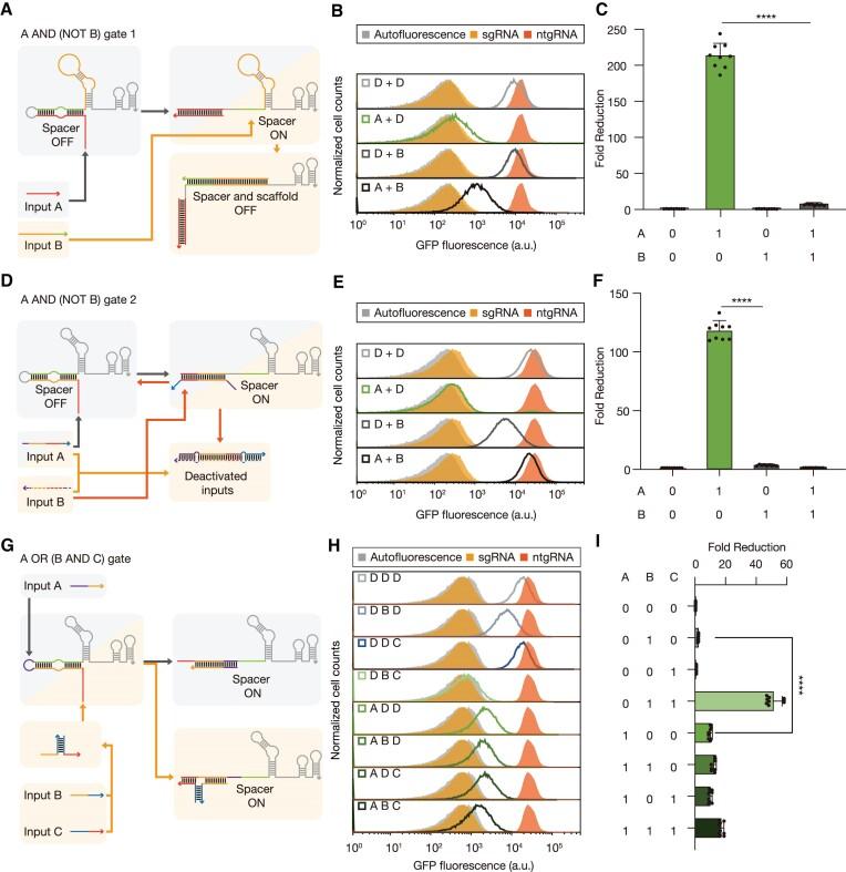 https://cdn.ncbi.nlm.nih.gov/pmc/blobs/422b/11317168/aae6af29cba2/gkae549fig3.jpg