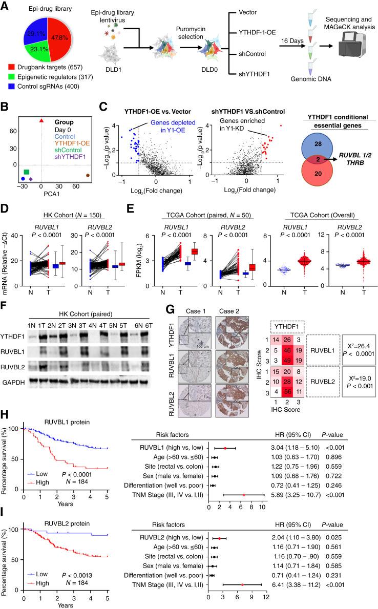 https://cdn.ncbi.nlm.nih.gov/pmc/blobs/422e/11372367/45421f57d359/can-23-2081_f1.jpg