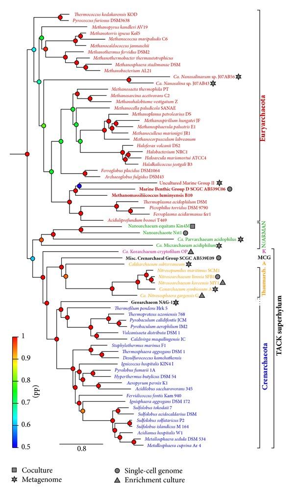 https://cdn.ncbi.nlm.nih.gov/pmc/blobs/422f/3852633/a153c46a2732/ARCH2013-202358.001.jpg