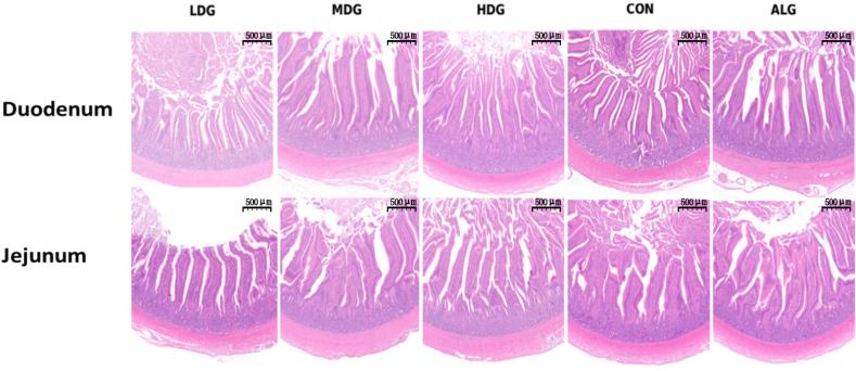 https://cdn.ncbi.nlm.nih.gov/pmc/blobs/4230/12148643/14831333a6e4/gr1.jpg