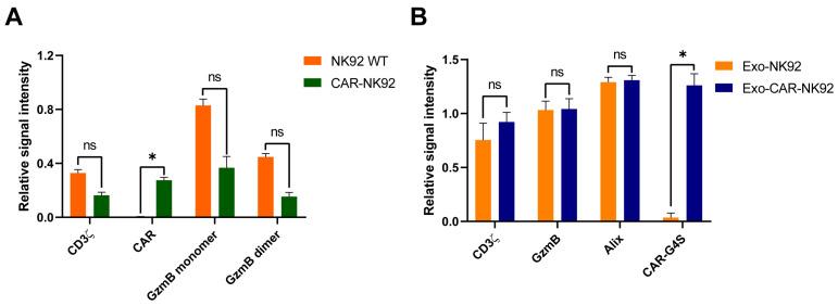 https://cdn.ncbi.nlm.nih.gov/pmc/blobs/4230/12347400/53f505f2688a/ijms-26-07648-g008.jpg